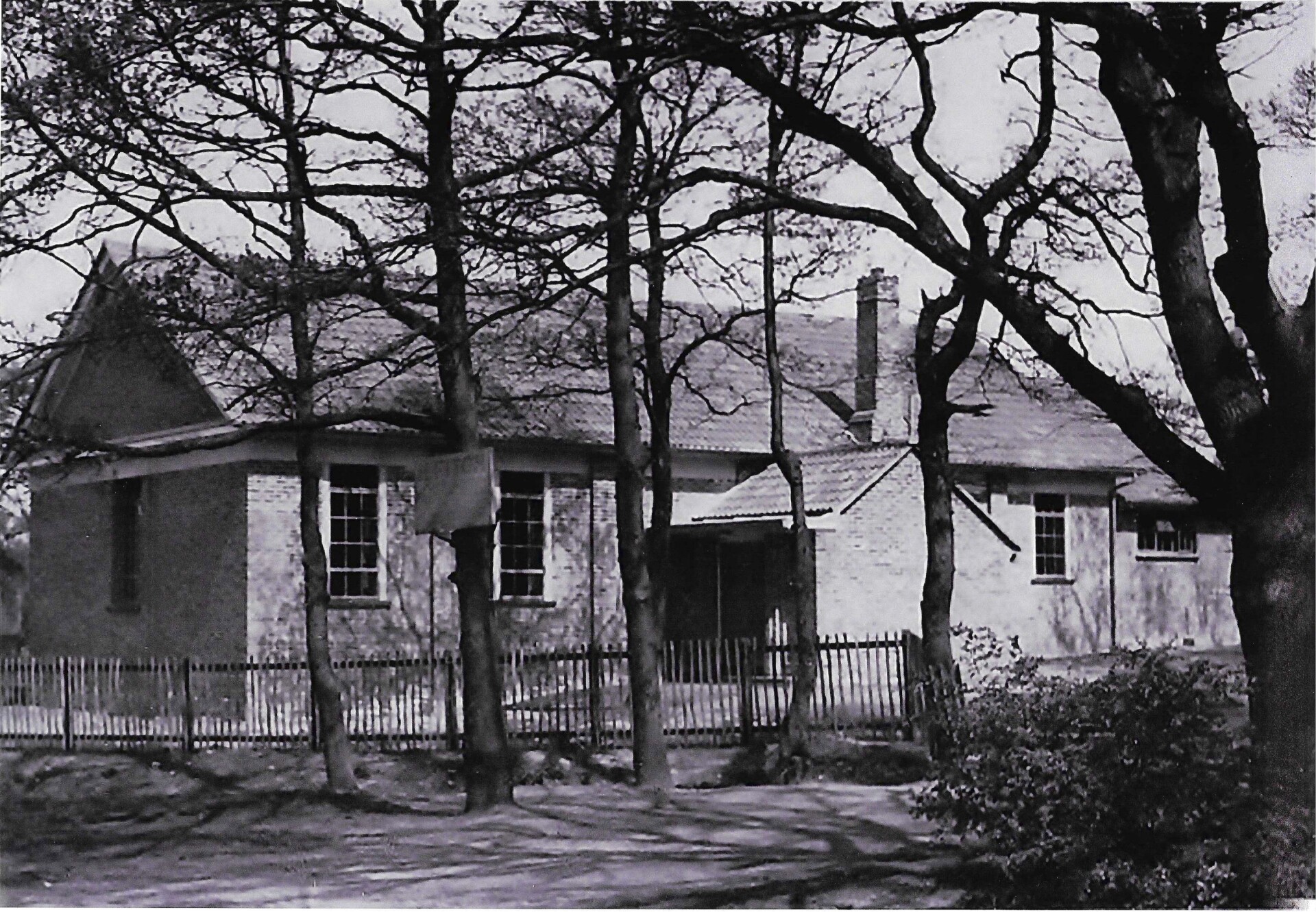 Untitled image